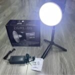 ZGRL-80 PALM PHOTOGRAPHY  LIGHT